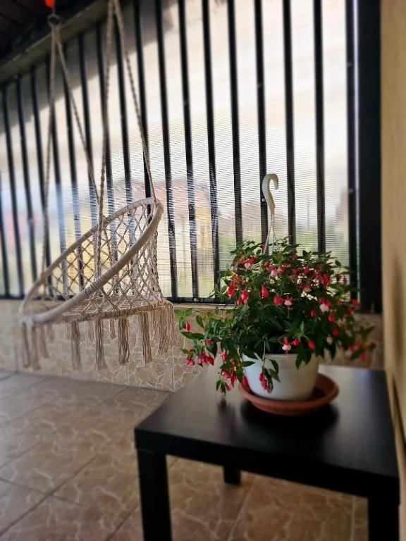 Pensiunea Relax Curtea de Argeş المظهر الخارجي الصورة